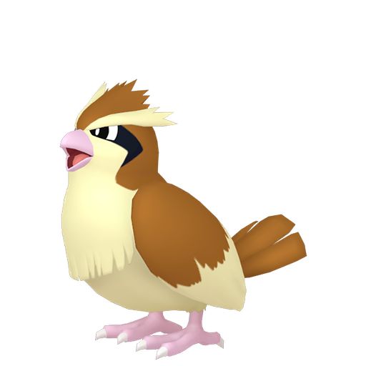 Pidgey in Pokopia