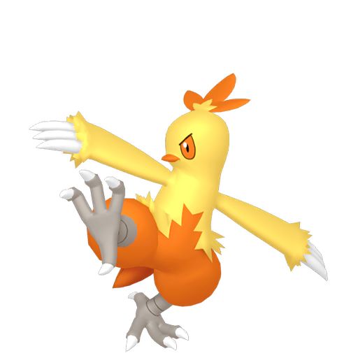 Combusken in Pokopia