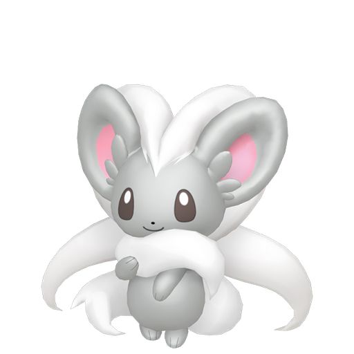Cinccino in Pokopia